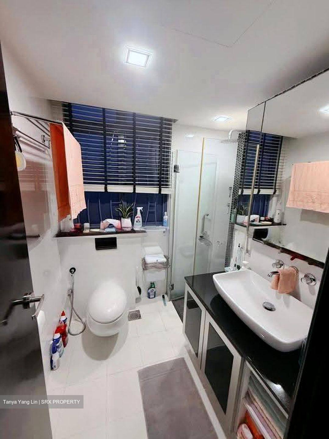 Sanctuary Green (D15), Condominium #617706651
